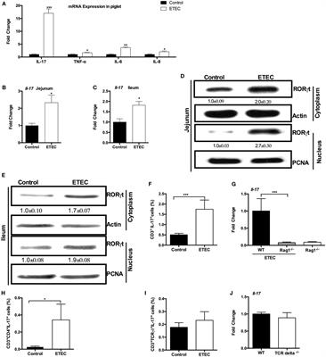 Intestinal Microbiota-Derived GABA Mediates Interleukin-17 Expression during Enterotoxigenic Escherichia coli Infection